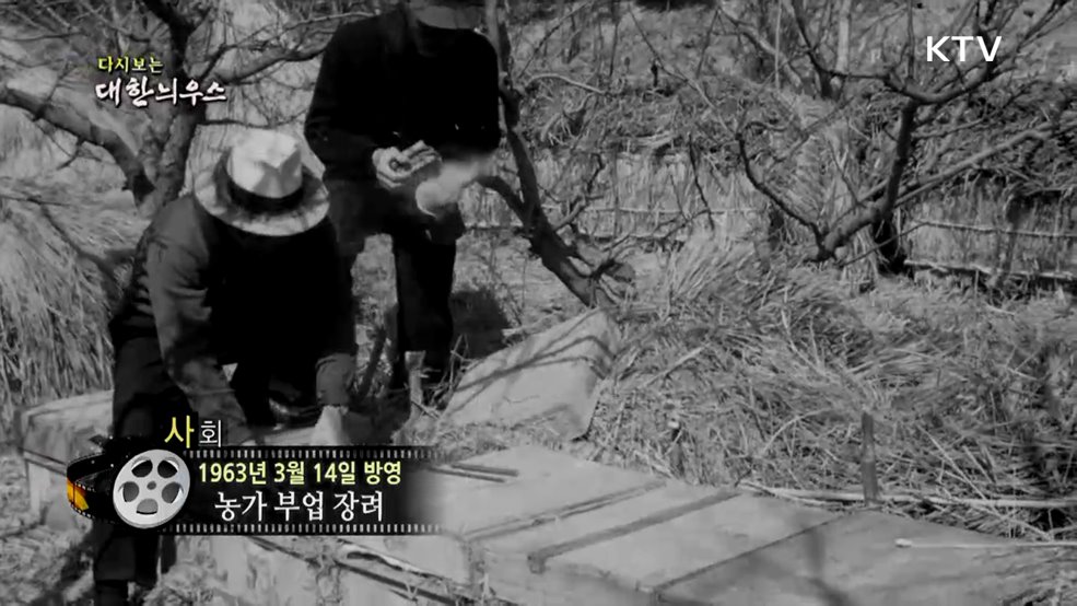 다시보는 대한늬우스 (63. 3. 14.)