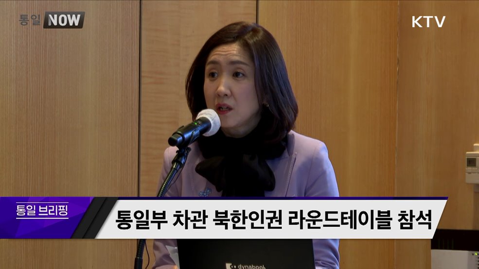 통일부 차관 북한인권 라운드테이블 참석