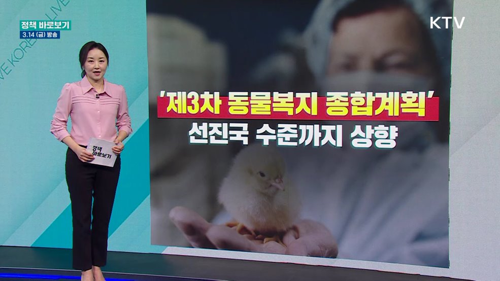'제3차 동물복지 종합계획'···선진국 수준까지 상향