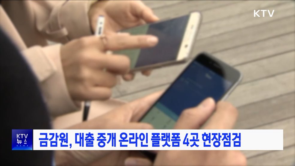 금감원, 대출 중개 온라인 플랫폼 4곳 현장점검