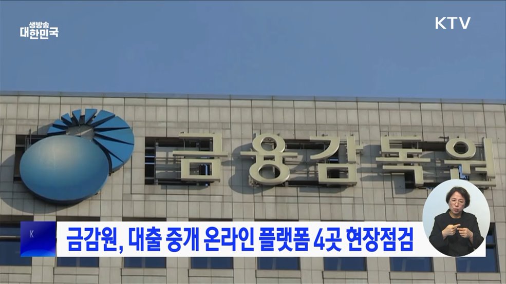 금감원, 대출 중개 온라인 플랫폼 4곳 현장점검