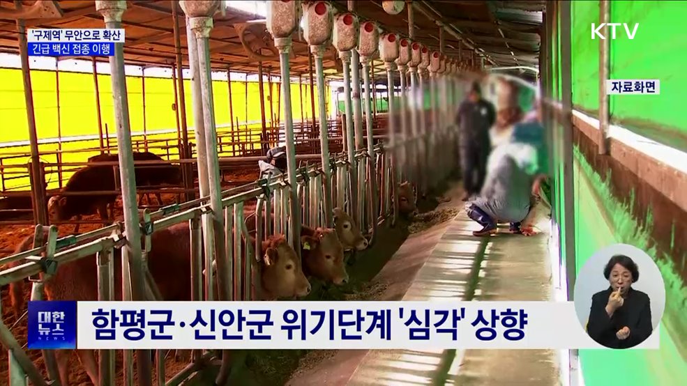 구제역 무안으로 확산···전남 "22일까지 백신 접종 완료"