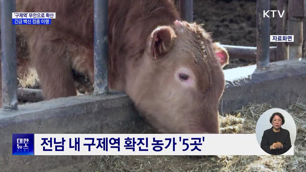 구제역 무안으로 확산···전남 "22일까지 백신 접종 완료"