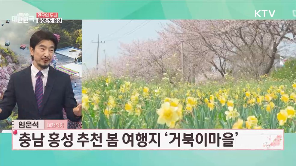 걷기 좋은 봄 여행 <충청도편> 여유와 온기 만끽하는 봄 명소 [여행을 떠나요]