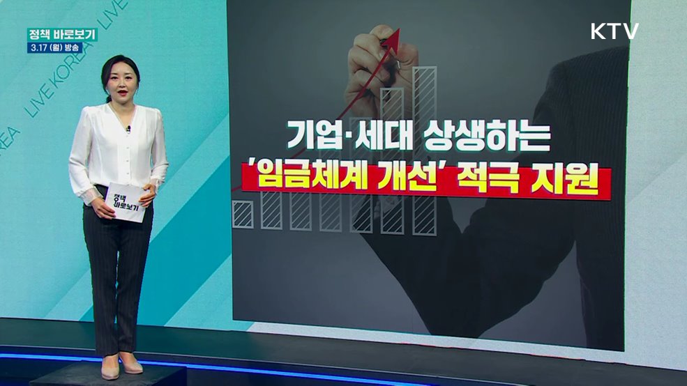 기업·세대 상생하는 '임금체계 개선' 적극 지원