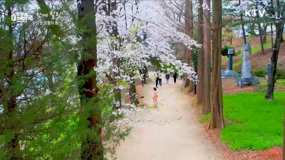 강원 영월의 봄 [함께 힐링]