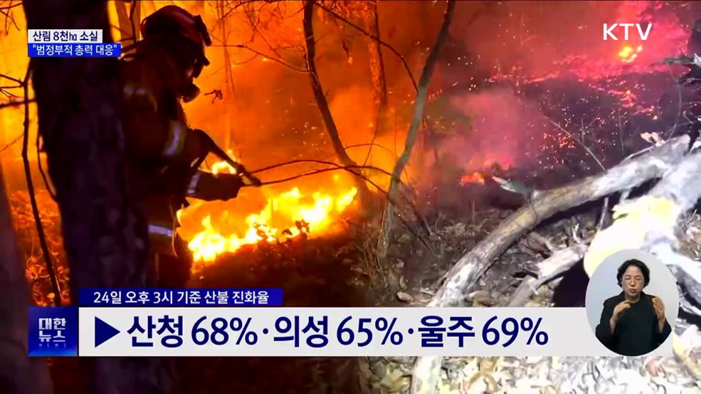 산림 8천㏊ 소실···울산·경북·경남 특별재난지역 선포