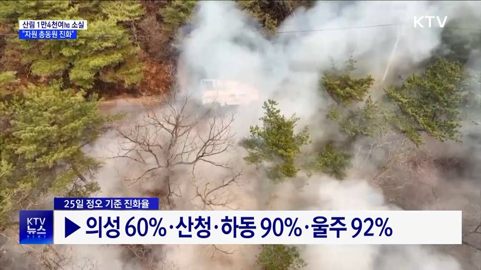 산림 1만4천여㏊ 소실···"가용 자원 총동원 진화"