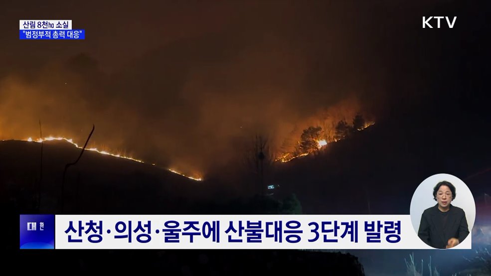 산림 8천㏊ 소실···울산·경북·경남 특별재난지역 선포