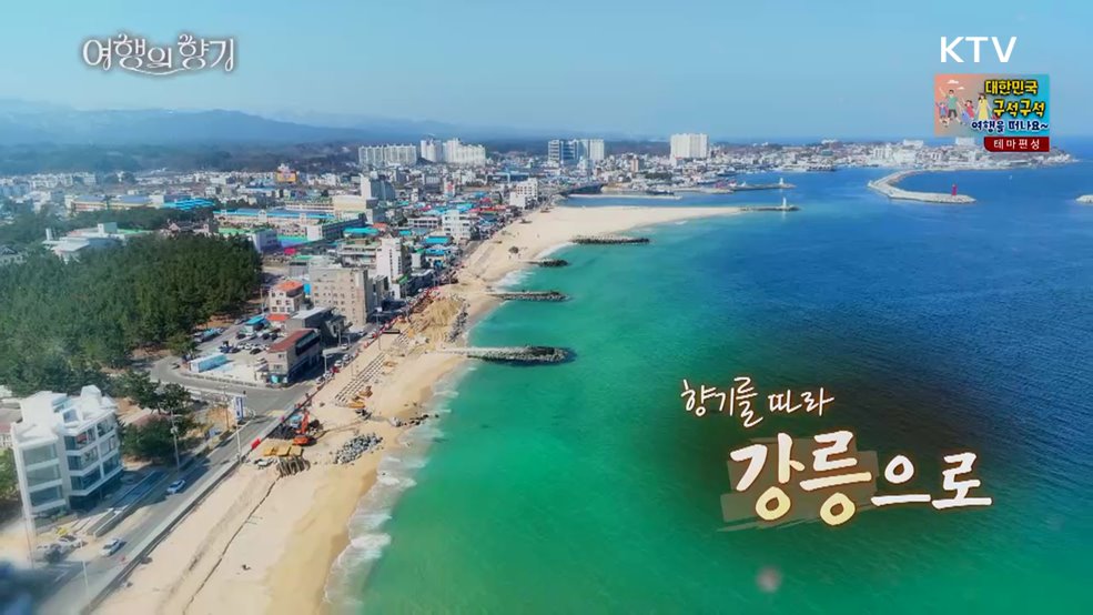 향기를 따라 강릉으로