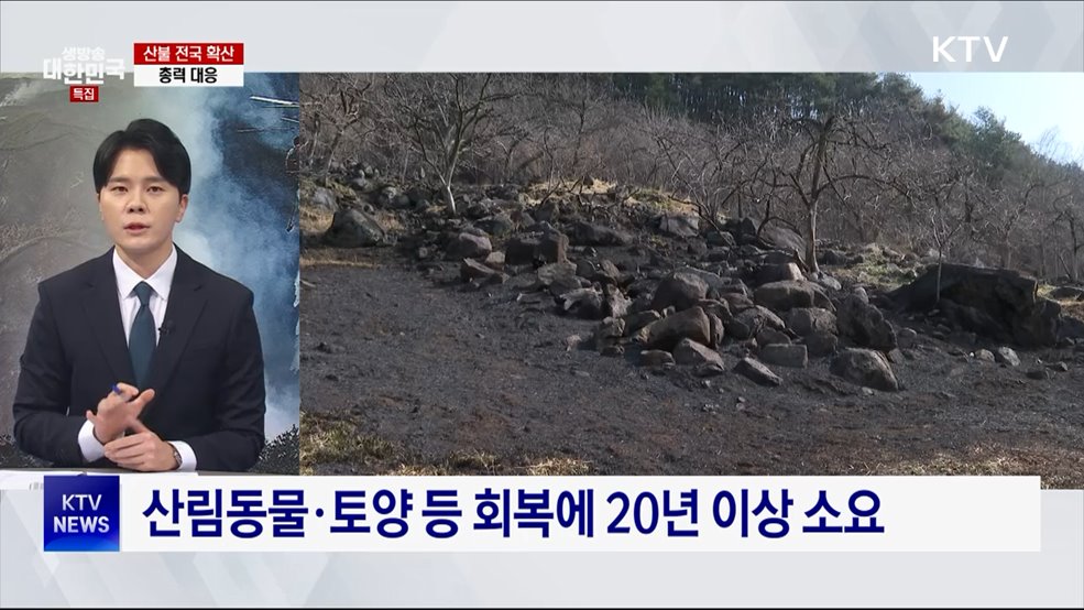 기후변화로 '산불 연중화'···조심기간 외 산불 28%