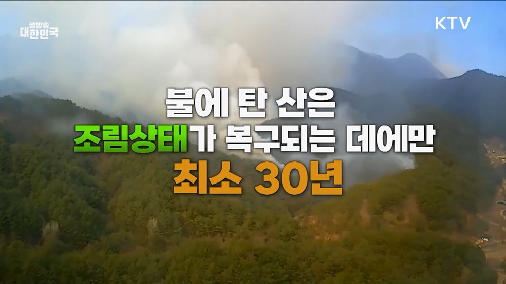 산불 처벌 규정 강화 푸른 숲 사랑의 시작은 산불예방 - 행정안전부