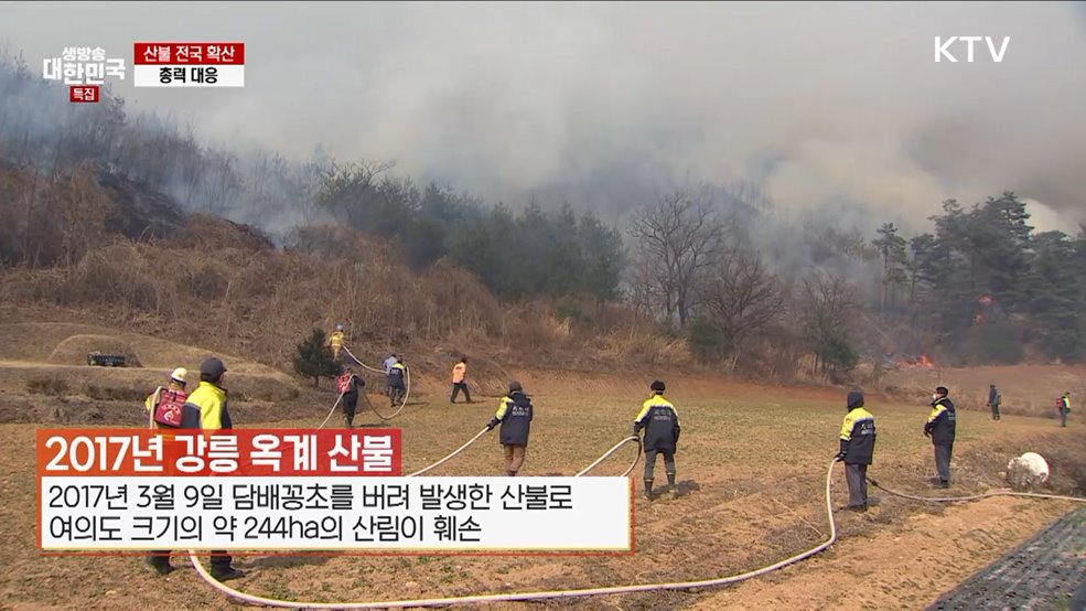 실수로 산불을 내도 처벌받습니다 - 행정안전부