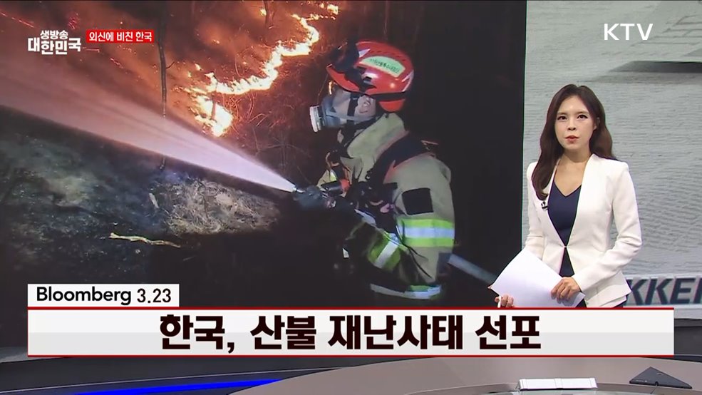 블룸버그 / 3.23 한국, 산불 재난사태 선포 [외신에 비친 한국]