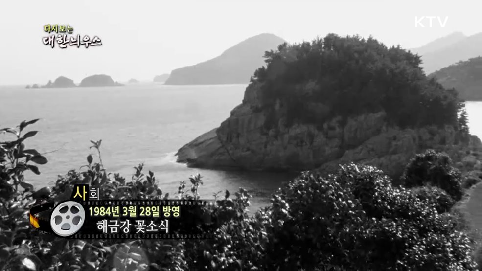 다시보는 대한늬우스 (84. 3. 28.)