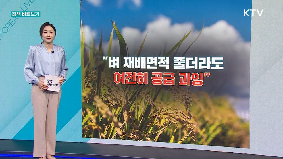 정책 바로보기 (618회)