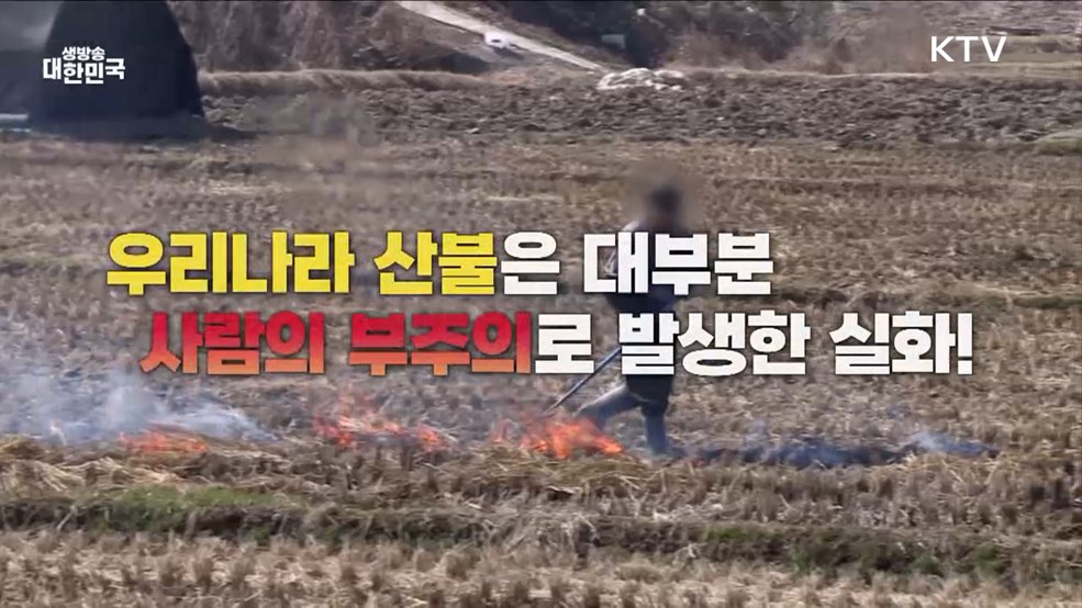 산불 처벌 규정 강화 푸른 숲 사랑의 시작은 산불예방 - 행정안전부