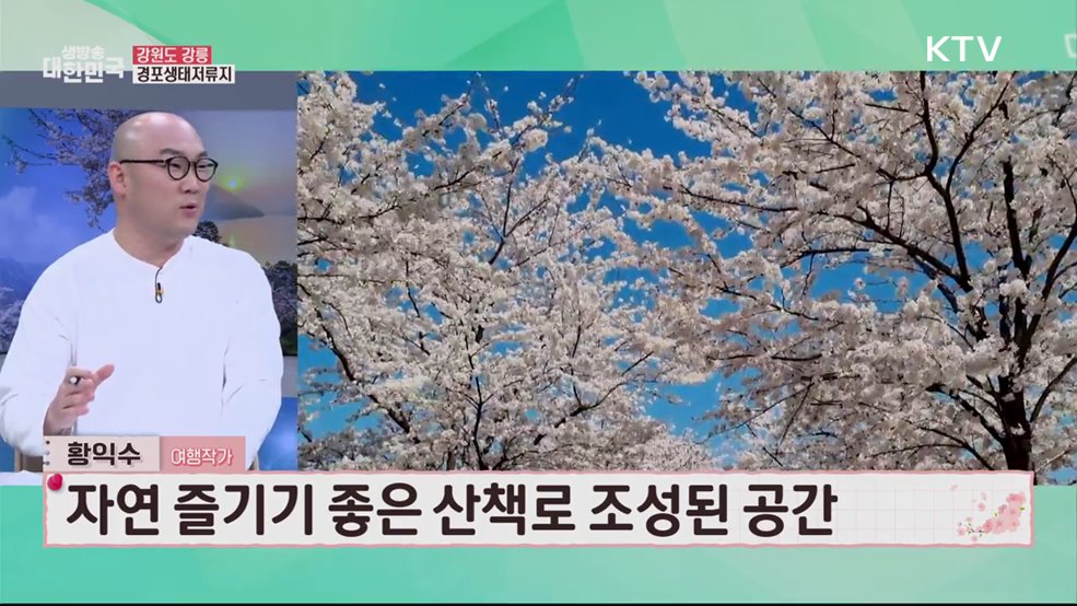 걷기 좋은 봄 여행 <강원도편>국내 가장 아름다운 봄 명소 [여행을 떠나요]