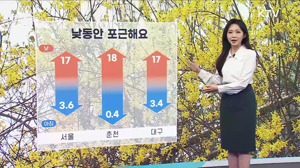 오늘의 날씨 (25. 04. 03. 11시)