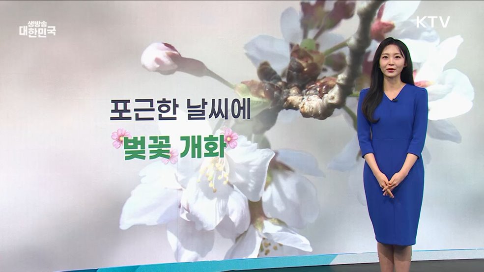 오늘의 날씨 (25. 04. 07. 10시)