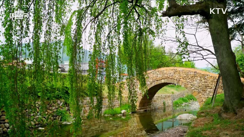 경상남도 창녕 [함께 힐링]