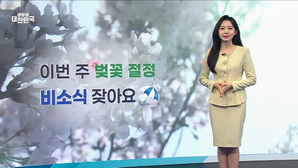 오늘의 날씨 (25. 04. 08. 10시)