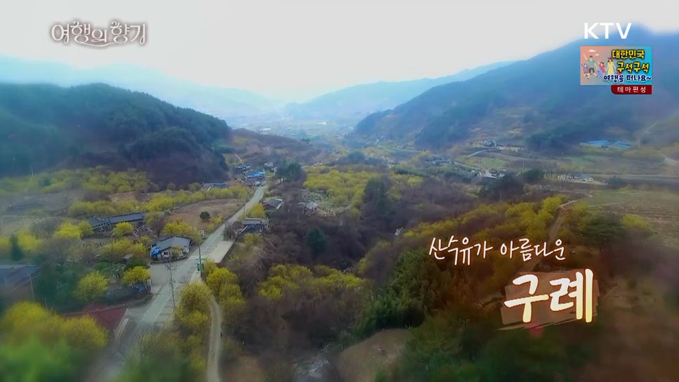 산수유가 아름다운 구례