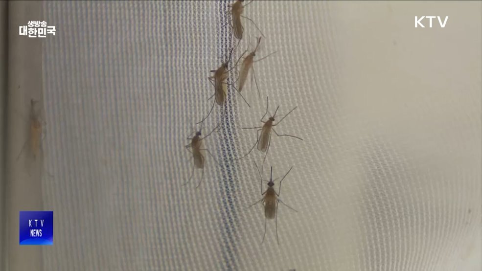 제대군인 2명, 말라리아 감염···"적극 검사 받아야"