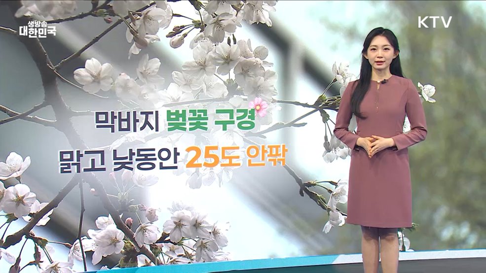 오늘의 날씨 (25. 04. 11. 10시)