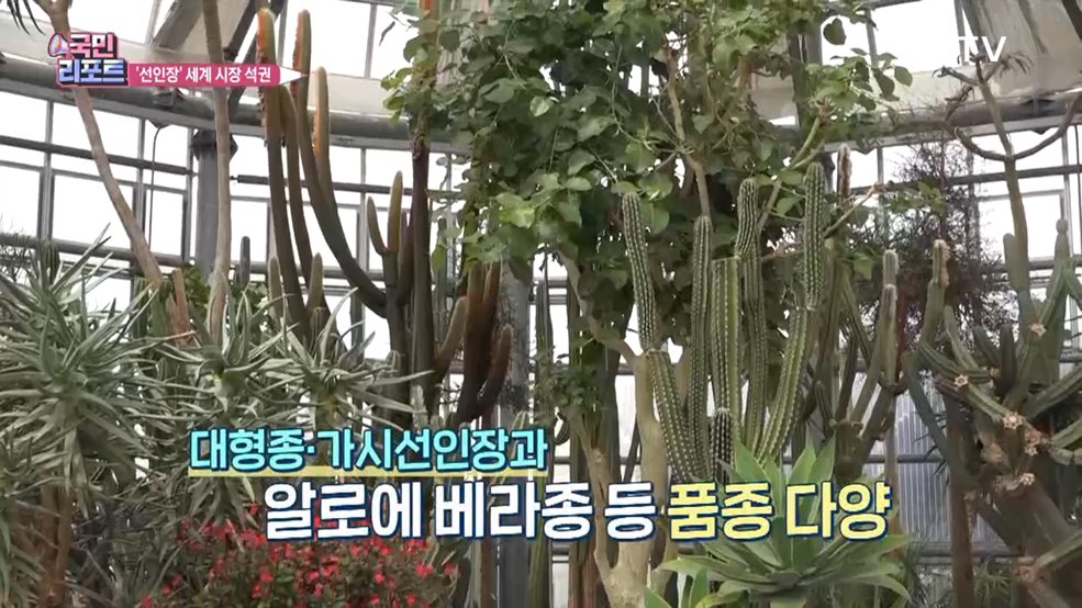 가장 아름다운 선인장 '신품종 개발' 앞장