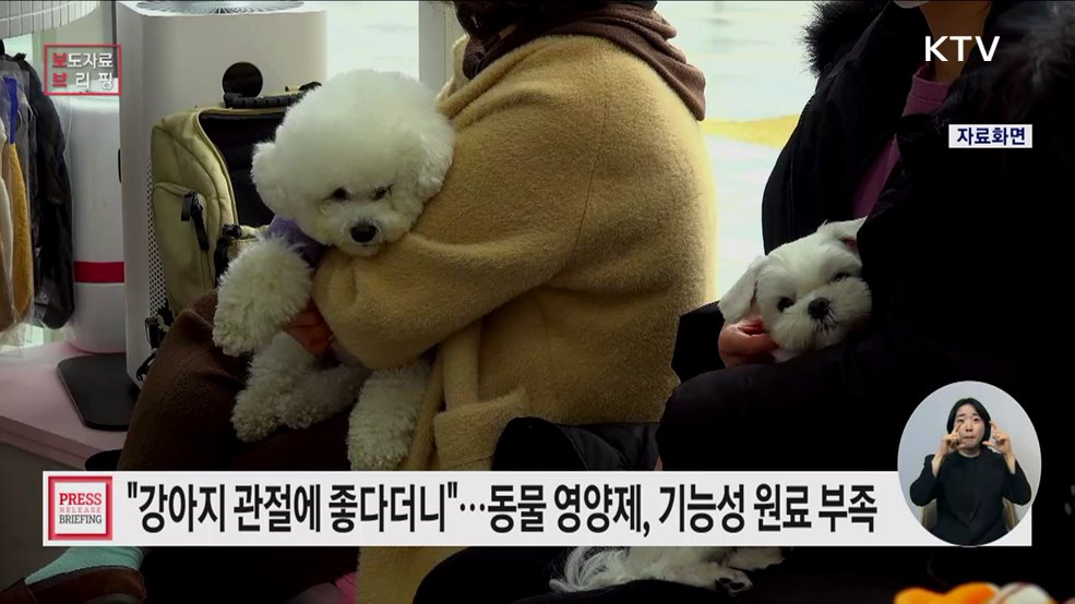 일부 반려동물 영양제, 표시된 양보다 기능성 원료 적게 들어 있어