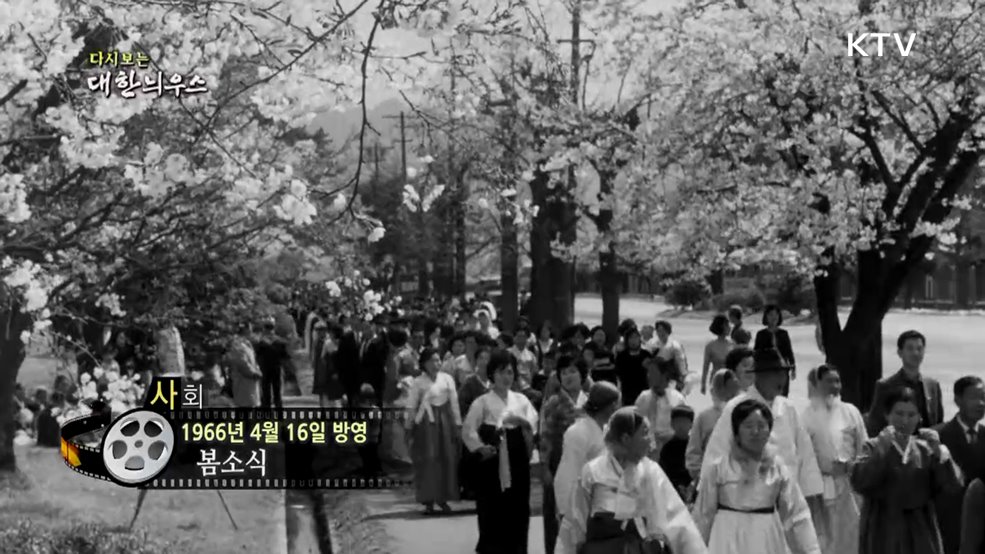 다시보는 대한늬우스 (66. 4. 16.)