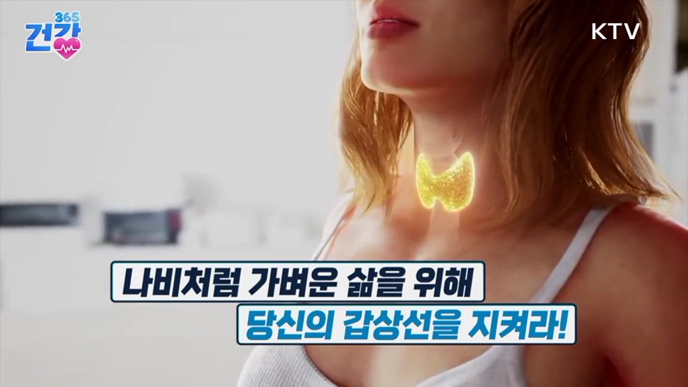 건강 365 (26회)