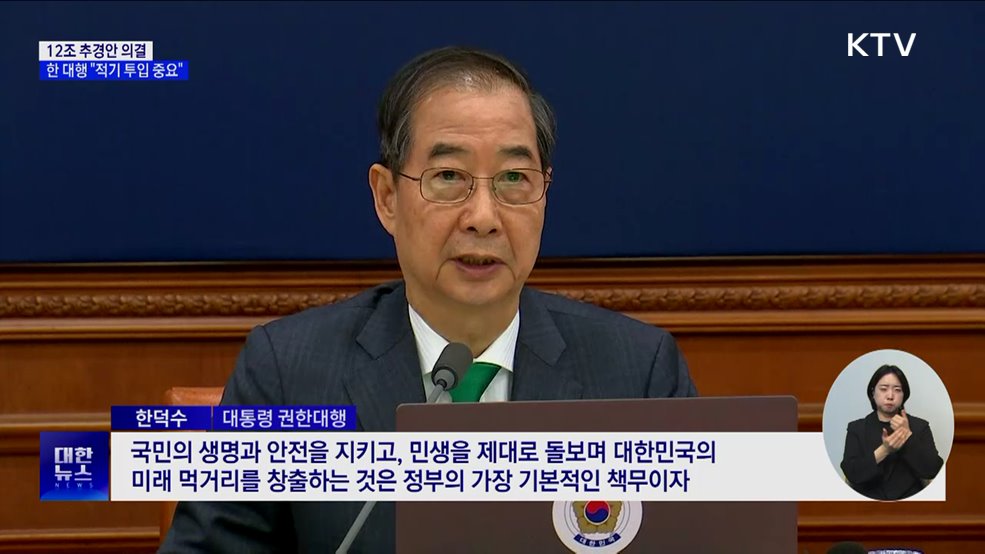 12조 추경안 의결···한 대행 "적기 투입 중요"