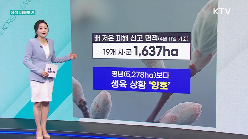 정책 바로보기 (634회)