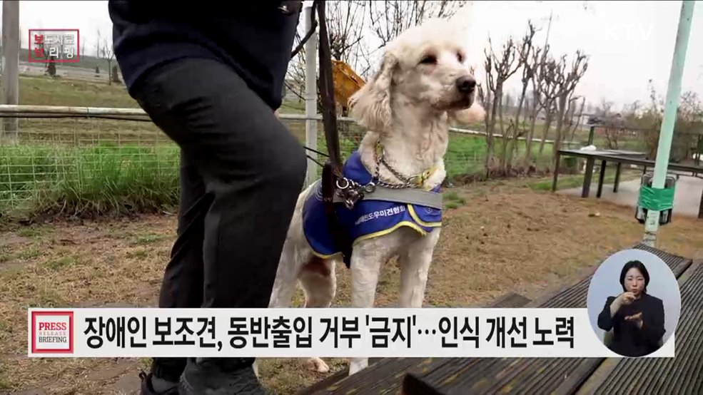 장애인 보조견, 어디든 함께 갈 수 있어요