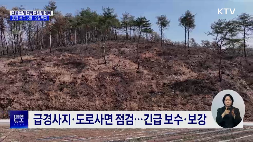산불 피해 지역 산사태 대비···6월 15일까지 응급복구
