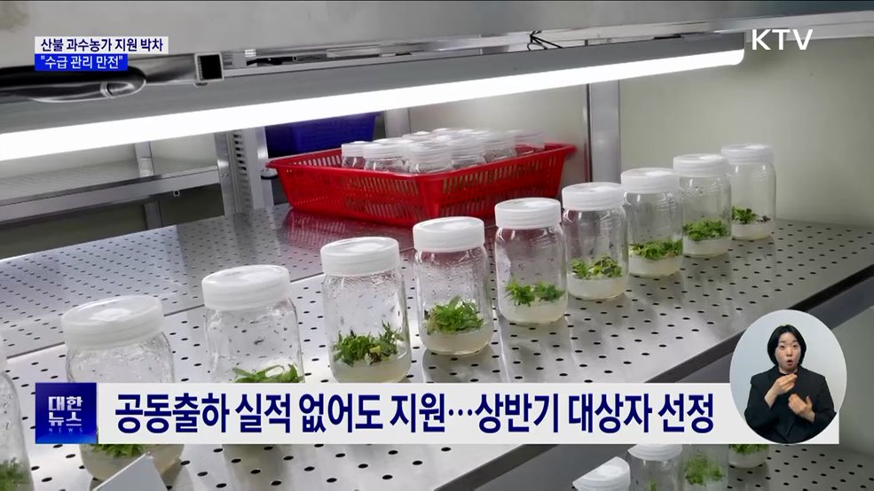 "산불피해 과수 농가 최우선 지원···수급 관리 만전"