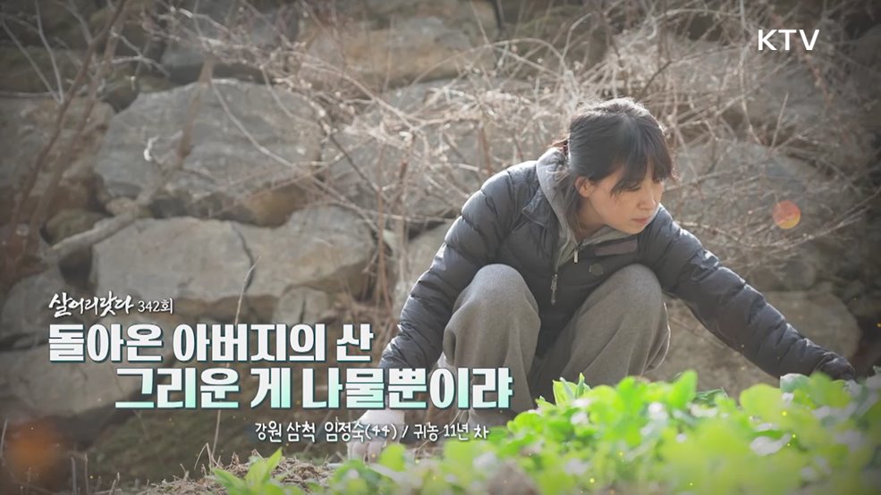 돌아온 아버지의 산 그리운 게 나물뿐이랴