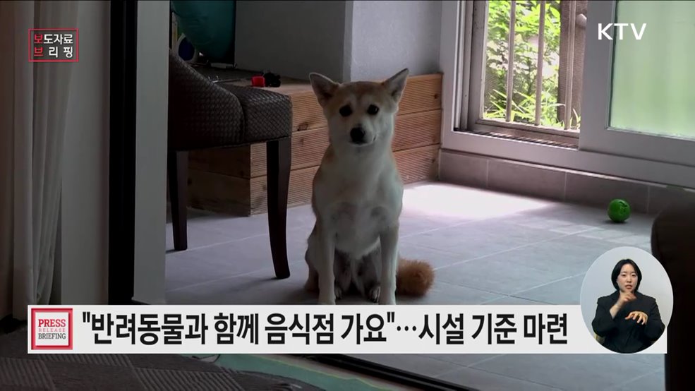 반려동물과 함께 음식점 갈 수 있어요