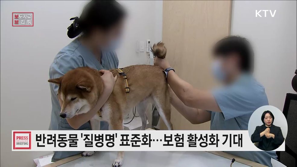 질병명·진료행위명·진료절차 표준화로 반려동물 보험 활용길 열려
