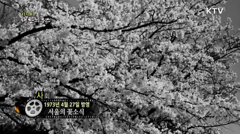 다시보는 대한늬우스 (73. 4. 27.)