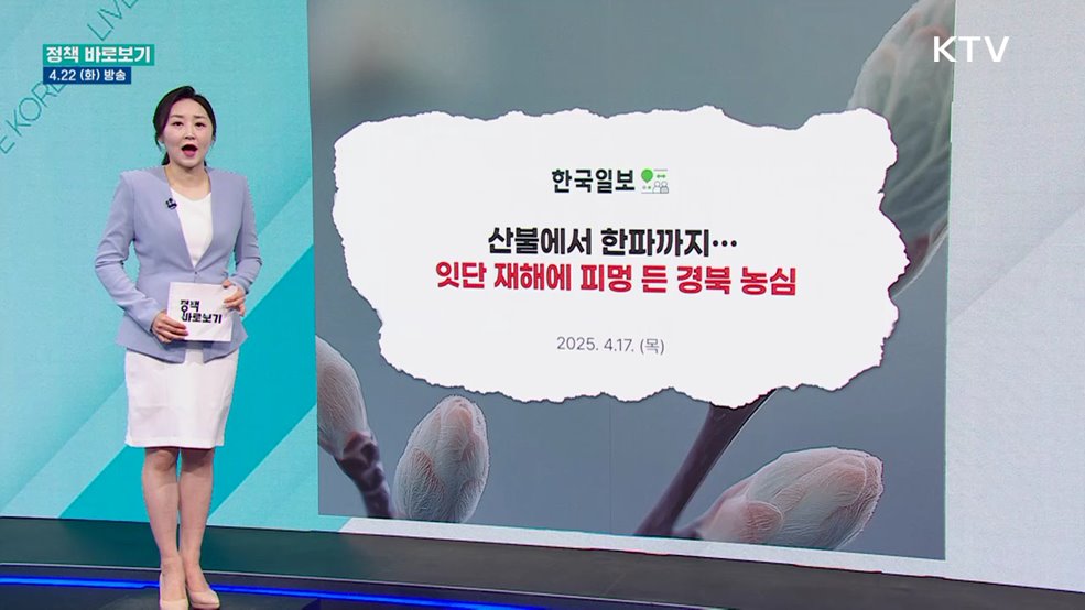 농식품부 "사과 저온피해 없고 산불 직접피해 면적 1.7% 수준"