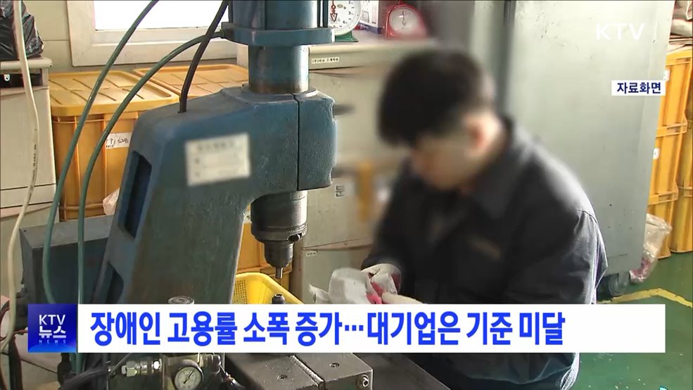 장애인 고용률 소폭 증가···대기업은 기준 미달