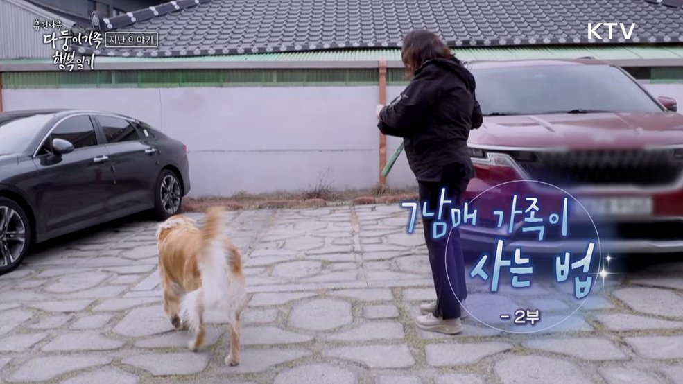 7남매 가족이 사는 법 2부