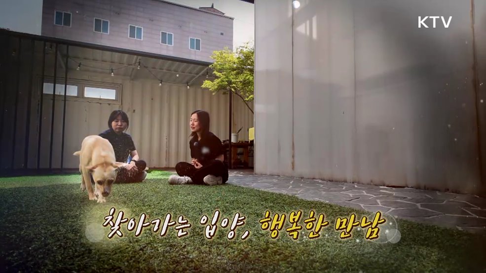 찾아가는 입양, 행복한 만남