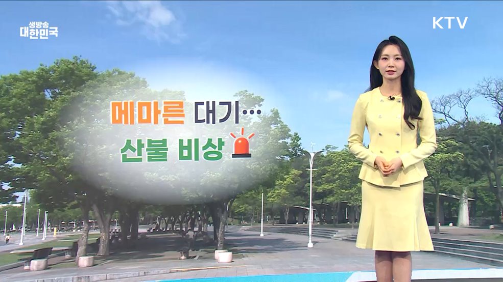 오늘의 날씨 (25. 04. 29. 10시)