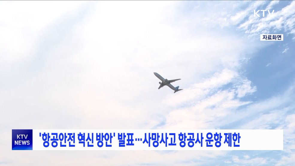 '항공안전 혁신 방안'···사망사고 항공사 운항 제한