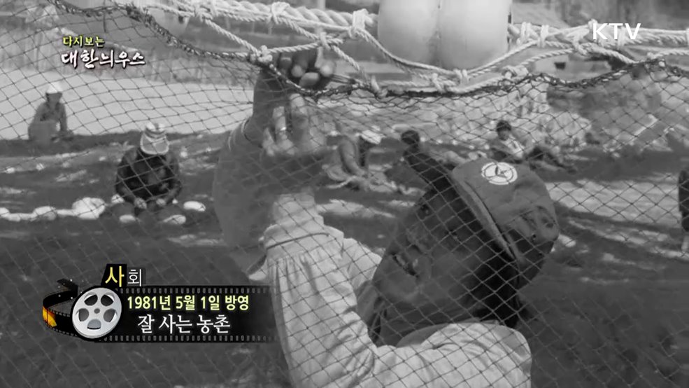 다시보는 대한늬우스 (81. 5. 1.)