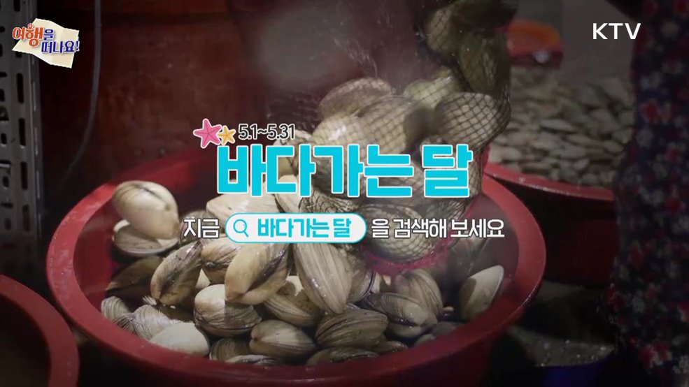 여행을 떠나요 (29회)